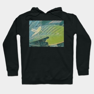 Hungry grasshopper Hoodie